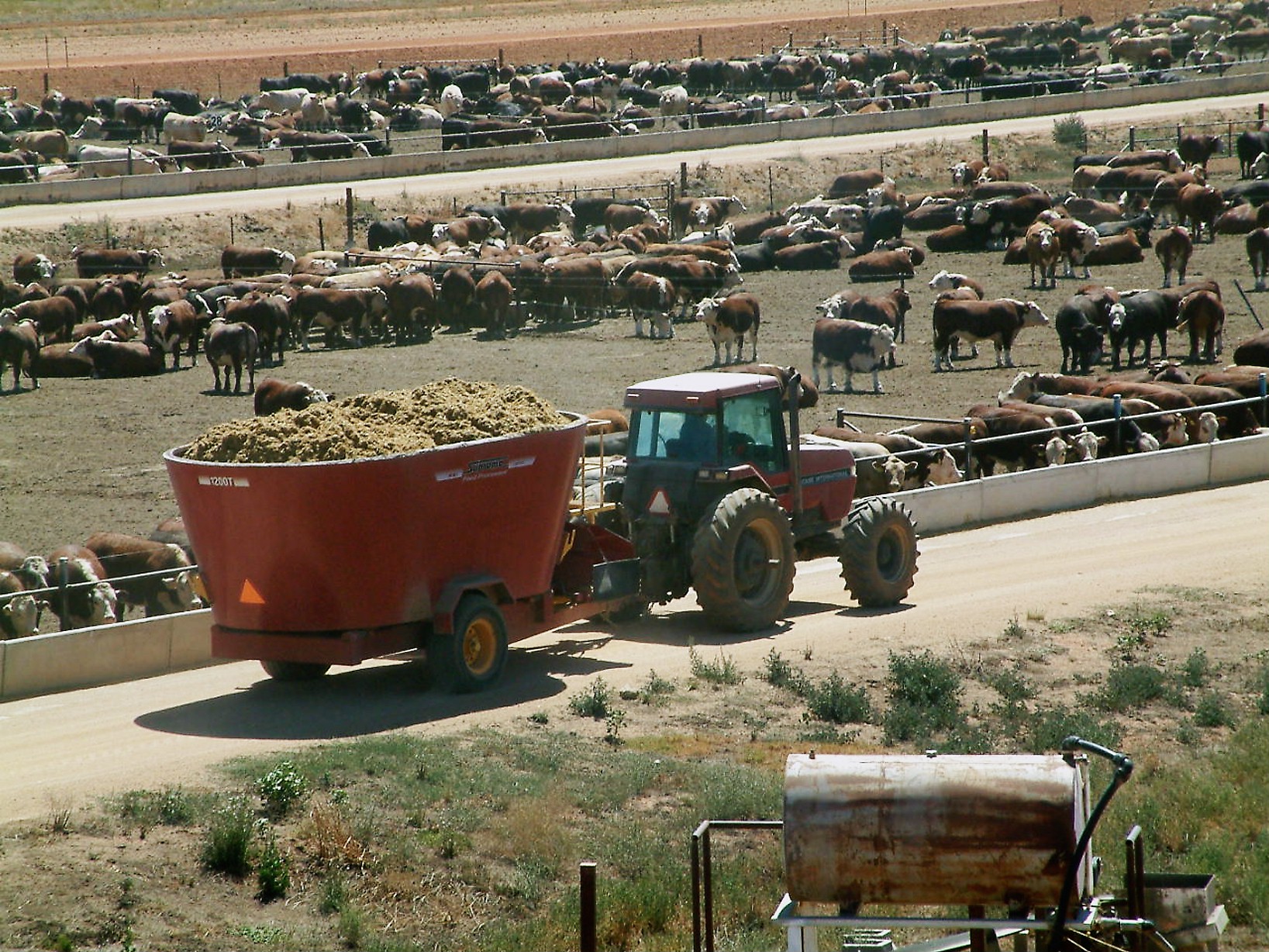 2003-photo-of-Gundamain-Feedlot.jpg